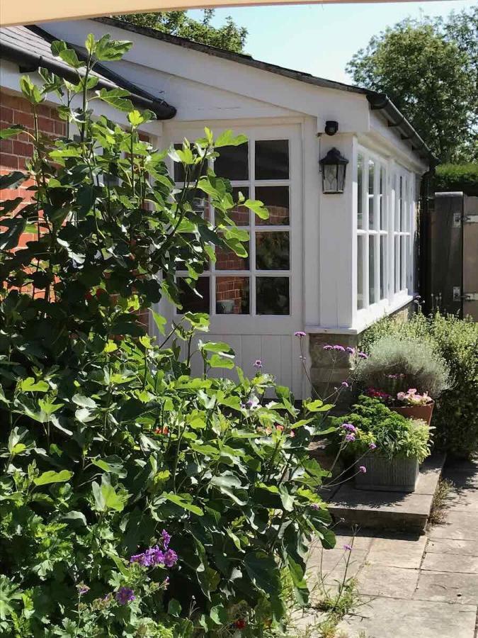 Norburton Hall Cottages Bridport Zewnętrze zdjęcie